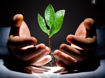 大電流變壓器盡在鵬鷹您的滿意是我們永恒的追求_大電流變壓器盡在鵬鷹您的滿意是我們永恒的追求價格_大電流變壓器盡在鵬鷹您的滿意是我們永恒的追求廠家_防盜、報警器材及系統 產品 中國橄欖油交易網-橄欖油價格 橄欖油團購 橄欖油行情 進口橄欖油